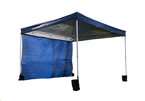 World Famous Sports Sun Canopy 10x10 Blue