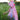 Pink Unicorn Cape