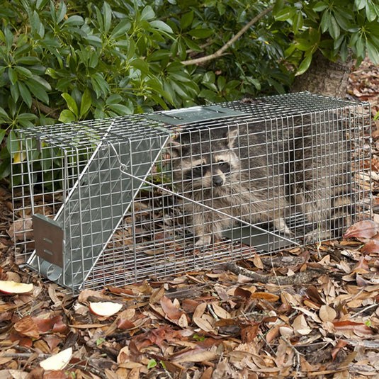 Havahart Large Live Catch Cage Trap For Cats and Raccoons 1 pk