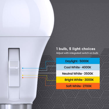 Feit A19 E26 (Medium) LED Motion Activated Bulb Adjustable White 60 Watt Equivalence 1 pk