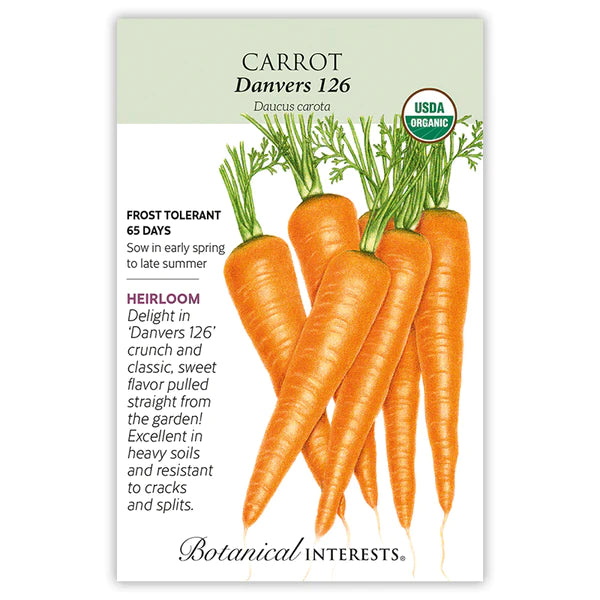 Load image into Gallery viewer, Danvers 126 Carrot Seeds
