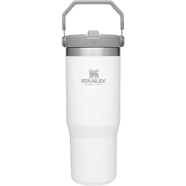 Stanley Classic 30oz Iceflow Flip Straw Tumbler