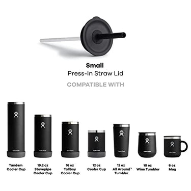 Hydro Flask Small Press-in Straw Lid (Black)