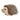 Douglas Bristle Hedgehog