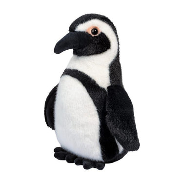 Douglas Zuri African Penguin