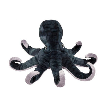 Douglas Winky Octopus