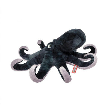 Douglas Winky Octopus