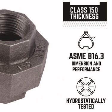 STZ Industries 1/2 in. FIP each X 1/2 in. D FIP Black Malleable Iron Union