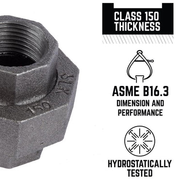 STZ Industries 3/4 in. FIP each X 3/4 in. D FIP Black Malleable Iron Union