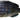 Savage Gear Structure Gill Sinking Swimbait 3/4oz. (Ghost Gill)