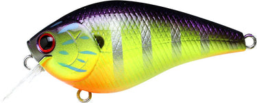 Lucky Craft LC 1.5" Shallow Squarebill Crankbait (Gorgeous Purple Chartreuse Gill)
