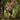 Bamboo Tiger Poster
