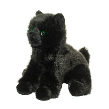 Douglas Salem Black Cat