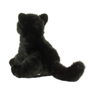 Douglas Salem Black Cat