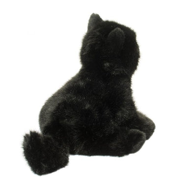 Douglas Salem Black Cat