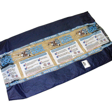 Dial 24 in. H X 36 in. W Beige Long Strand Excelsior Aspen Pad
