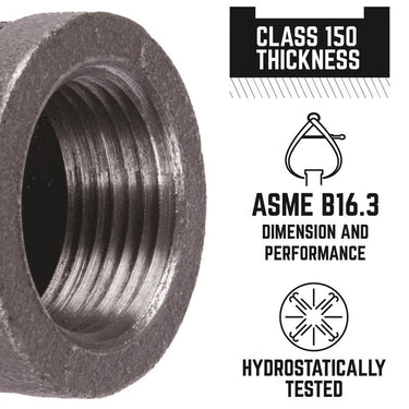 STZ Industries 3/4 in. FIP each X 3/4 in. D FIP Black Malleable Iron Coupling