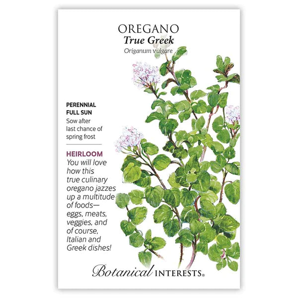 True Greek Oregano Seeds