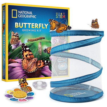 National Geographic Butterfly Growing Kit