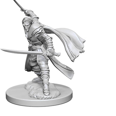 Dungeons & Dragons: Nolzur's Marvelous Unpainted Miniatures - W01 Elf Male Ranger