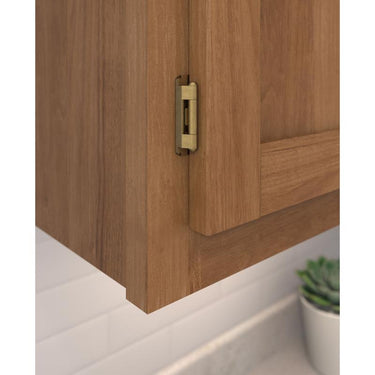 Amerock 1-1/2 in. W X 2-1/4 in. L Burnished Brass Steel Self-Closing Hinge 2 pk