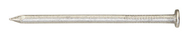 Ace 6D 2 in. Framing Bright Steel Nail Flat Head 1 lb