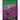 HILLMAN Anchor Wire 16 Ga. X 1-1/4 in. L Bright Steel Brad Nails 1 pk 2 oz