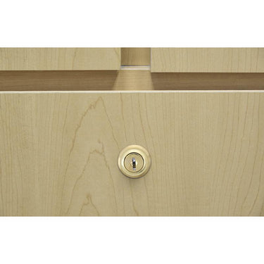 Ace Bright Brass Silver Brass Cam Lock