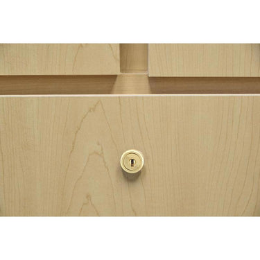 Ace Bright Brass Gold Brass Cam Lock