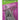 HILLMAN Anchor Wire 16 Ga. X 1 in. L Bright Steel Brad Nails 1 pk 2 oz