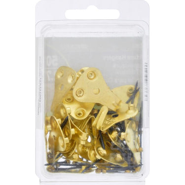 HILLMAN Brass-Plated Gold Professional Picture Hanger 50 lb 1 pk