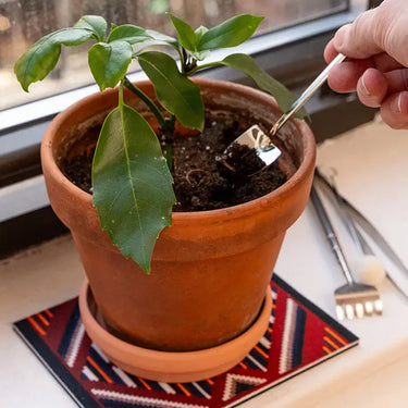 Kikkerland Mini Garden Tools