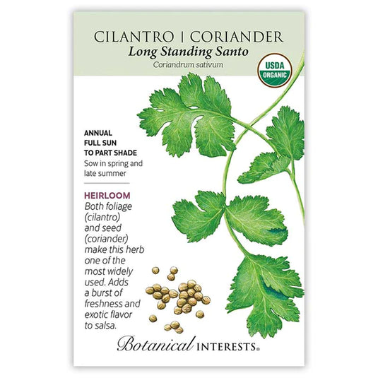 Long Standing Santo Cilantro/Coriander Seeds