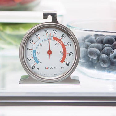 Taylor Instant Read Analog Freezer/Refrigerator Thermometer