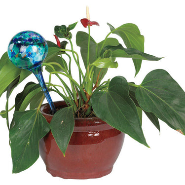As Seen On Tv Aqua Globe Assorted Glass Aqua Globe