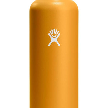 Hydro Flask 24oz Standard Flex Straw Cap (Fossil)