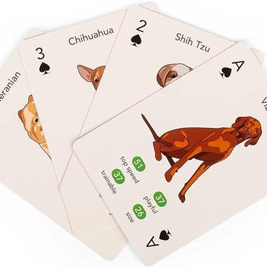 Kikkerland Paws & Play Playing Cards
