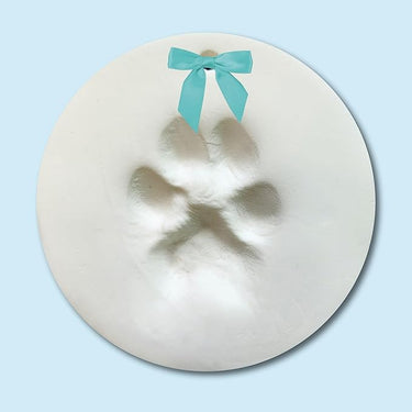 Pet Paw Print Ornament Kit