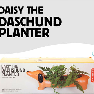 Kikkerland Daisy The Dachshund Porcelain Dog Planter