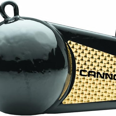 Cannon 4 Pound Flash Weight