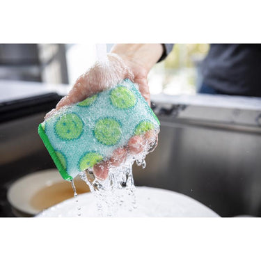 Scrub Daddy Scour Daddy Heavy Duty Sponge For Household 6.4 in. L 3 pk