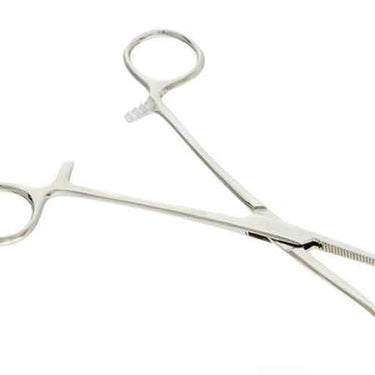 Sona Enterprises 6-1/4" Stainless Steel Curved Forceps
