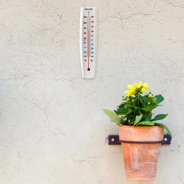 Taylor Jumbo Size Tube Thermometer Plastic White 14.57 in.
