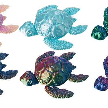 3D Printed Turtle