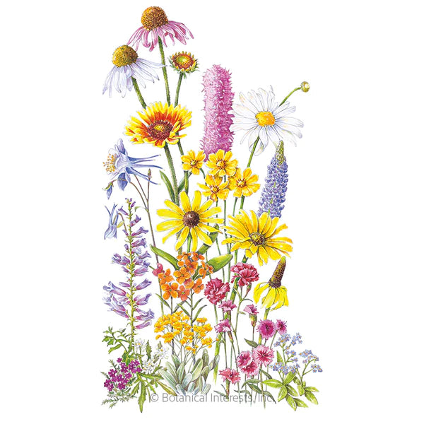 Load image into Gallery viewer, Perennial Bloom Flower Mix Seeds
