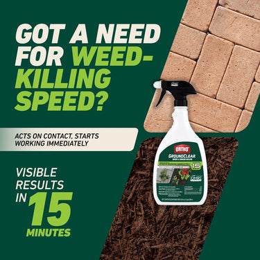 Ortho GroundClear Weed and Grass Killer RTU Liquid 24 oz