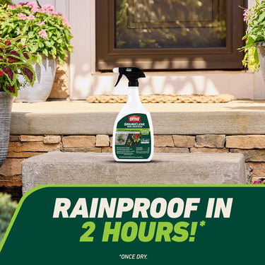 Ortho GroundClear Weed and Grass Killer RTU Liquid 24 oz