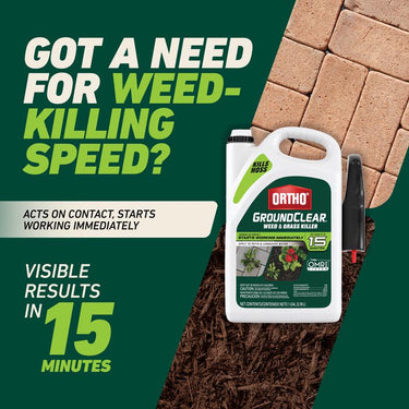 Ortho GroundClear Weed and Grass Killer RTU Liquid 1 gal