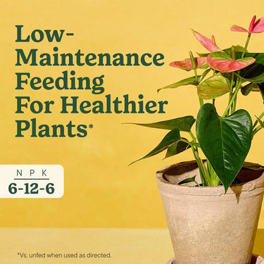 Miracle-Gro Spikes Plant Food 1.1 oz