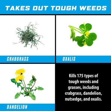 Ortho GroundClear Weed and Grass Killer RTU Liquid 24 oz